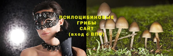 круглые Сосновый Бор