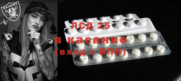PSILOCYBIN Туринск