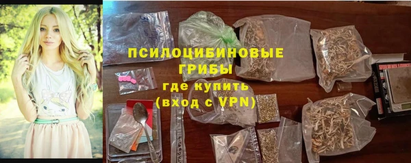 PSILOCYBIN Нягань