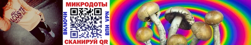 Галлюциногенные грибы мухоморы  Порхов 